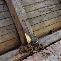 Rådskade i tagtømmer. Der er åbnet op for en tagkonstruktion, der gemmer på flere triste overraskelser i form af nedbrudt træ.