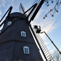 ​Hækværk. Vi er blevet færdige med et restaureringsarbejde på en mølle.